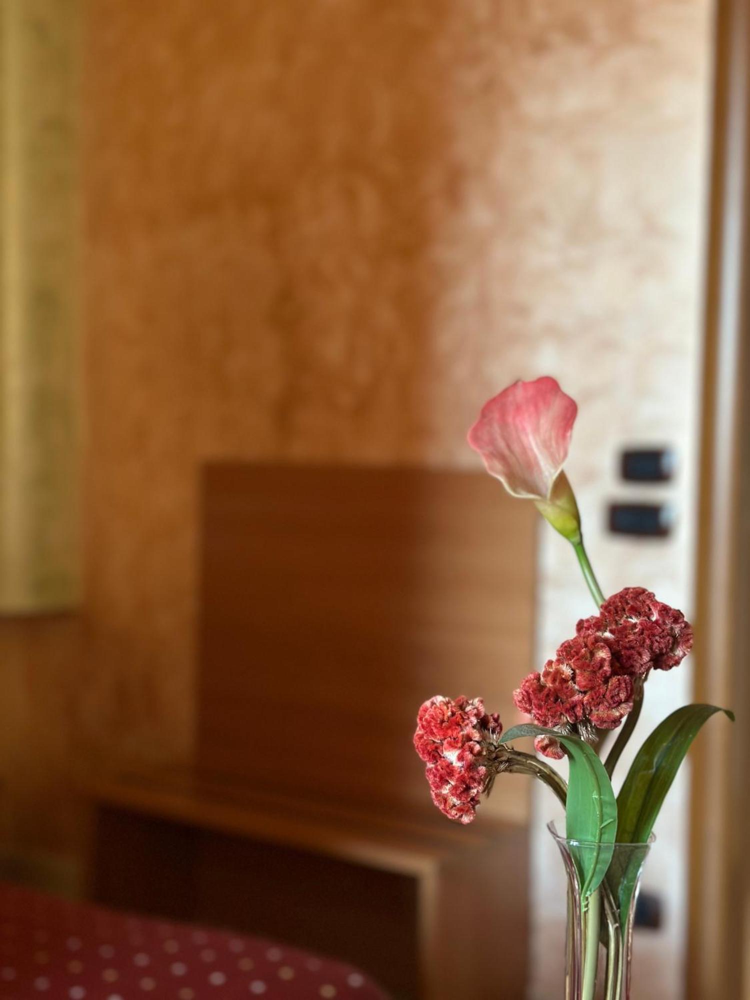 Hotel Il Giardino Degli Aranci Nola Exteriér fotografie